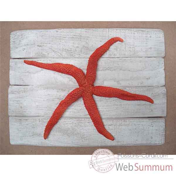 Cadre mammifère marin Cap Vert Étoile de mer rouge -CADR26