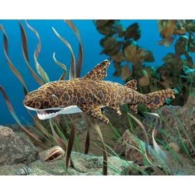 Leopard shark Folkmanis -2969