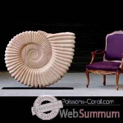 Ammonite géante Objet de Curiosité -PU161