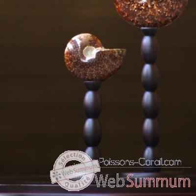 Ammonite opalinisee clioniceras Objet de Curiosite -FO007