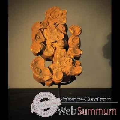 Stromatolithe Objet de Curiosité -FO017