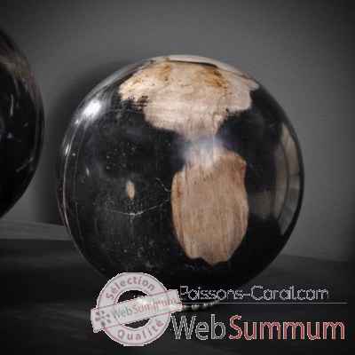 Boule de bois fossile mm (java) Objet de Curiosité -MI062