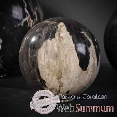 Boule de bois fossile pm (java) Objet de Curiosite -MI063