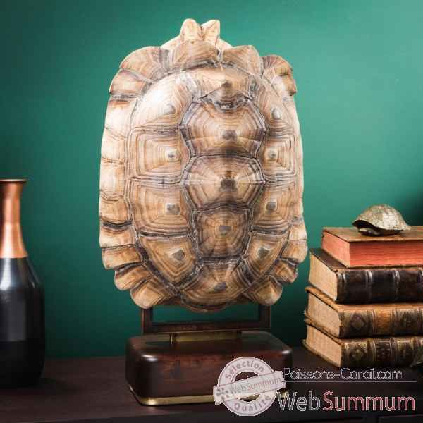 Carapace de tortue sulcata sur socle précieux Objet de Curiosité -PU627