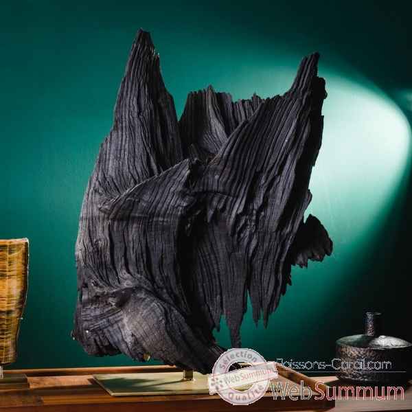 Chêne noir subfossile sur socle laitonné Objet de Curiosité -PUFO314-1