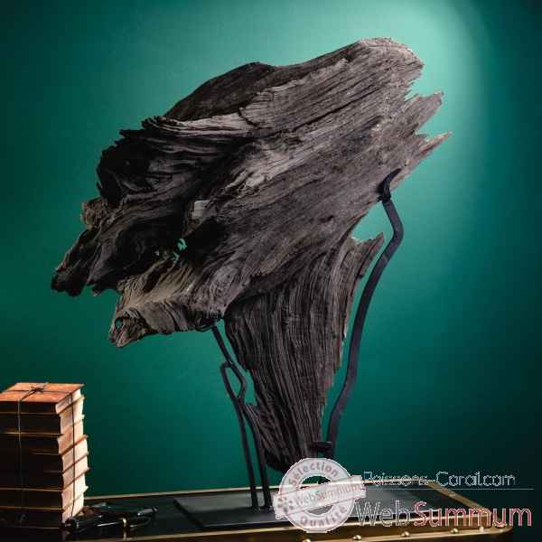 Chêne noir subfossile sur socle noir Objet de Curiosité -PUFO315-1