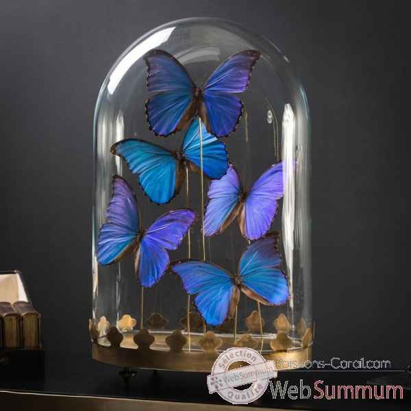 Cinq papillons morpho bleus Objet de Curiosité -IN105