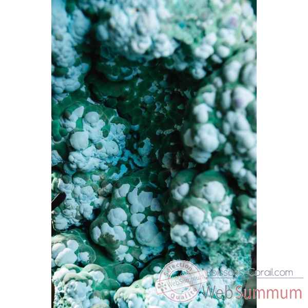 Malachite chrysocolle 6.6kg - congo Objet de Curiosite -PUMI1074 -5