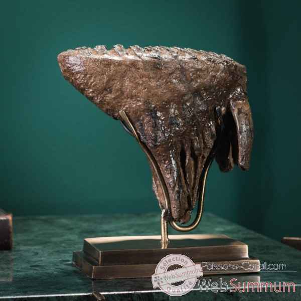 Molaire de mammouth 1.4kg - socle laiton Objet de Curiosité -PUFO292