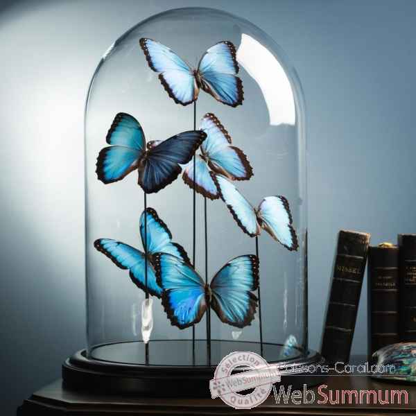 Papillons bleus morpho (6) Objet de Curiosite -IN101