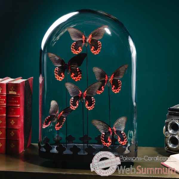 6 papillons rouges rumanzovia Objet de Curiosité -IN117