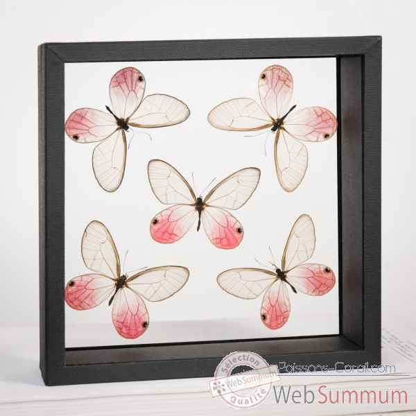 5 papillons transparents roses Objet de Curiosite -IN110