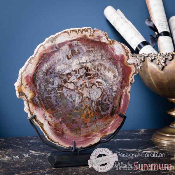 Tranche de bois fossile rosée Objet de Curiosité -PUFO276-2