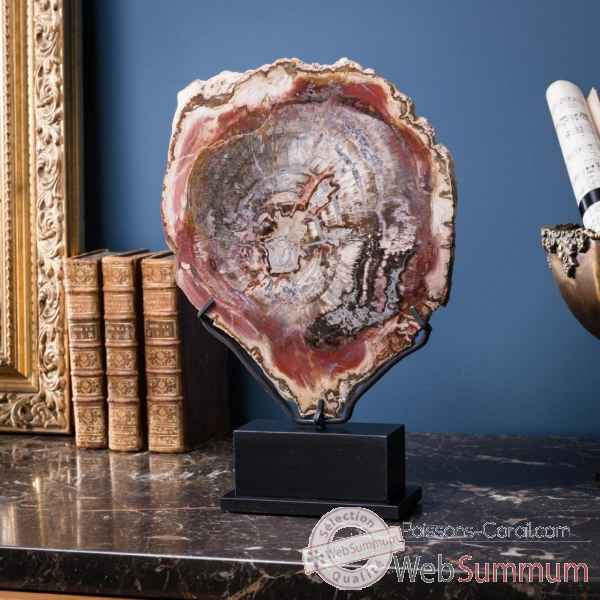 Tranche de bois fossile rouge Objet de Curiosité -PUFO169-9