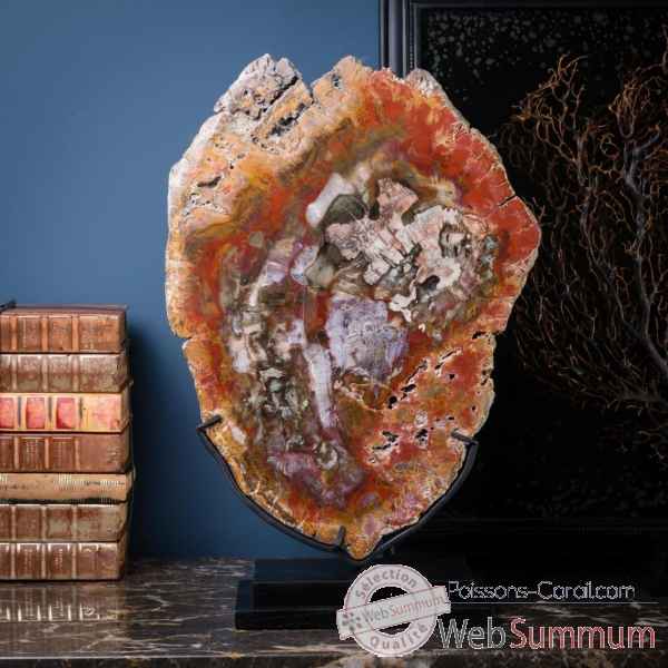 Tranche de bois fossile rouge Objet de Curiosité -PUFO275-2
