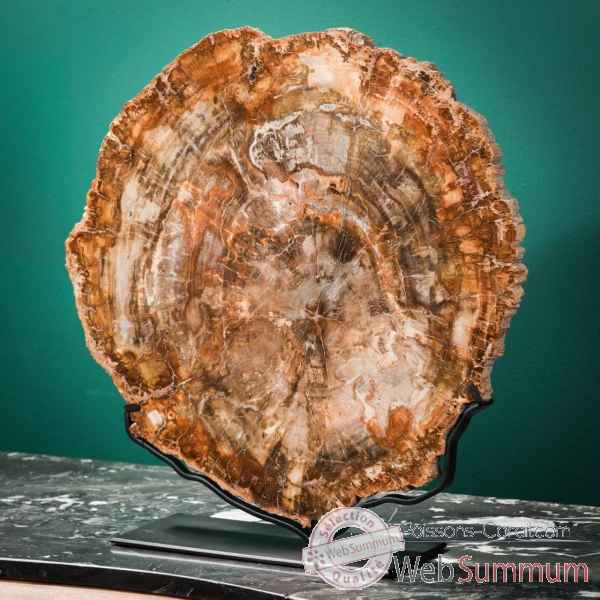 Tranche de bois fossile rouge Objet de Curiosite -PUFO303-1