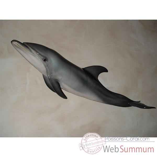 Trophee mammifere marin Cap Vert Grand dauphin -TRDF26