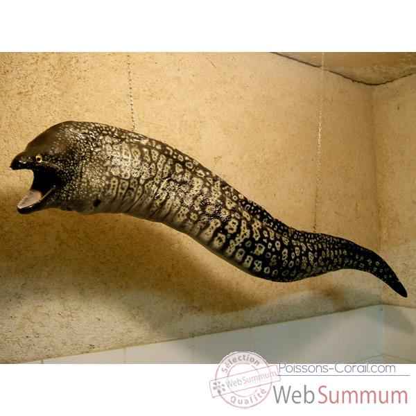 Video Trophee mammifere marin Cap Vert Murene -TRDF27