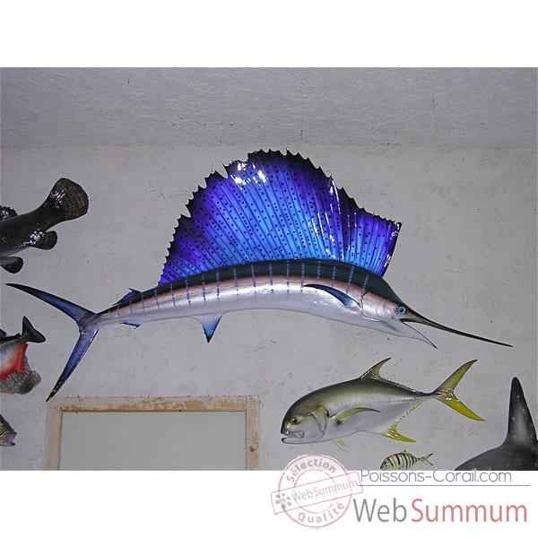 Trophée poisson des mers tropicales Cap Vert Espadon voilier -TR060