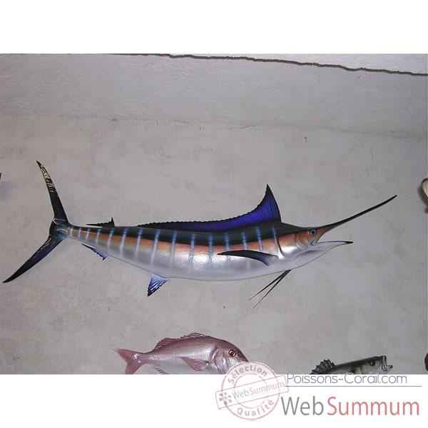 Trophée poisson des mers tropicales Cap Vert Marlin bleu -TR057