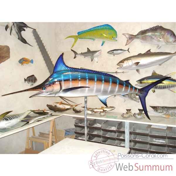 Trophee poisson des mers tropicales Cap Vert Marlin bleu -TR058