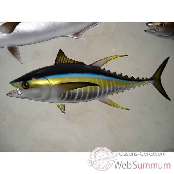 Trophée poisson des mers tropicales Cap Vert Thon jaune -TR066